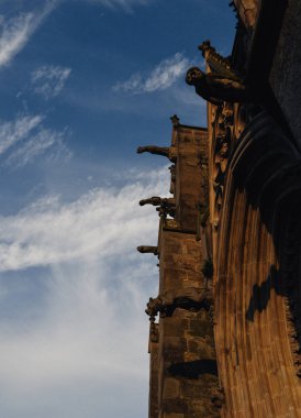 Gargoyle veya Gargouille - Carcassonne, Fransa