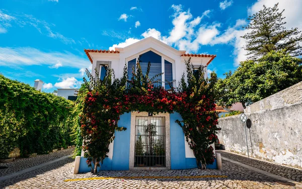 Vista ad ampio angolo delle case tradizionali portoghesi a Cascais coperte di piante ornamentali Boudanville — Foto Stock