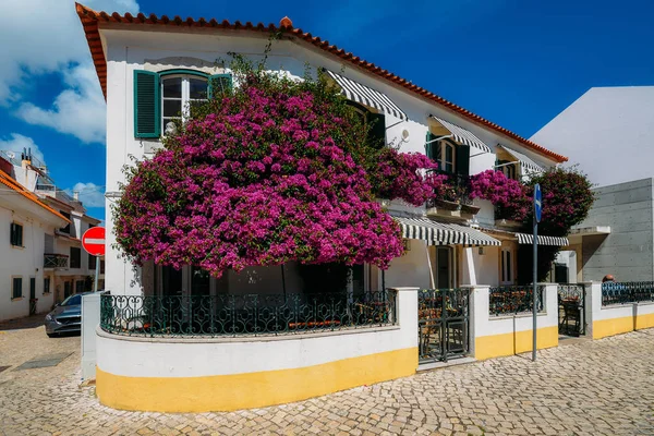 Amplia vista angular de las casas tradicionales portuguesas en Cascais cubiertas de plantas ornamentales de Boudanville — Foto de Stock
