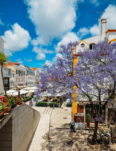 Drukke toeristische restaurants en bars met traditionele Portugese architectuur en blauwe Jacaranda boom op voorgrond — Stockfoto