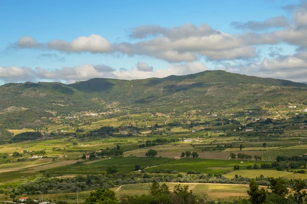 Panorama des collines et des oliveraies entourant Belmonte, Castelo Branco, Portugal — Photo