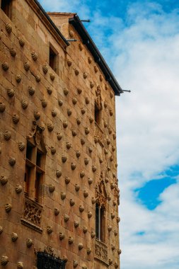 16. yüzyıl Gotik Saray cephe sembolik seashell motifleri, şimdi bir sergi alanı Kütüphane, Salamanca, İspanya kaplı.