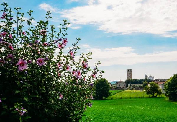 Castellaro Lagusello, Mantova, Italie — Photo