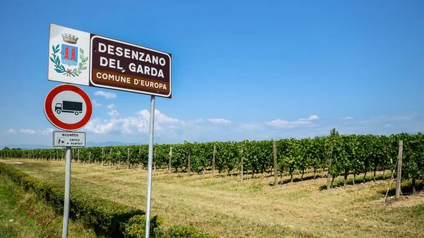 Panneau accueillant les visiteurs à Desenzano del Garda, Italie, avec des vignobles en arrière-plan — Photo