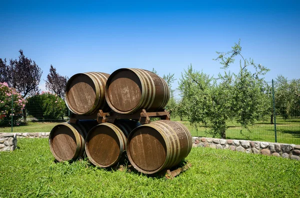 Vino con barril de madera en viñedo en Lombardía, Italia . —  Fotos de Stock