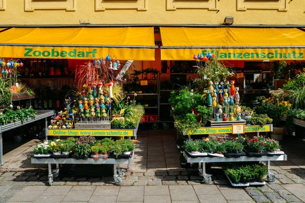 Diferentes flores de colores en Viktualienmarkt, Munich, Alemania — Foto de Stock