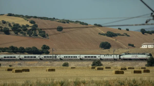 Moderno treno Renfe che attraversa il paesaggio verde del paese — Foto Stock