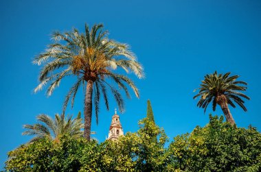 La Endülüs katedral Belltower Cordoba, İspanya