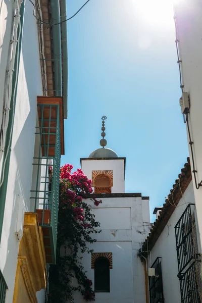 Mezquita Catedral de Córdoba, Andalucía, España, Europa —  Fotos de Stock