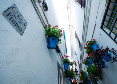 Calleja de las flores in Cordoba, Spain, Europe