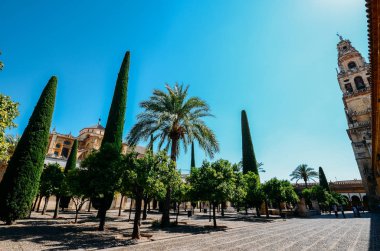 Endülüs Cordoba sayfasından Patio de los Naranjos - UNESCO Dünya Miras Listesi dışında