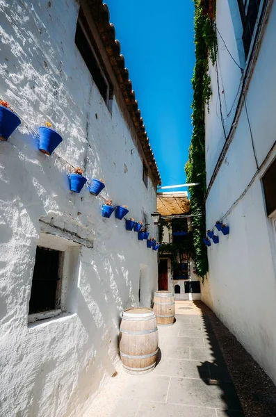 Parete bianca con vasi di fiori blu a Cordova, Andalusia Spagna — Foto Stock