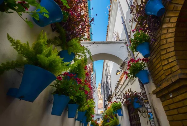 Cordoba, Spanje. Calleja de las flores, Bekijk voor de klokkentoren van de kathedraal — Stockfoto