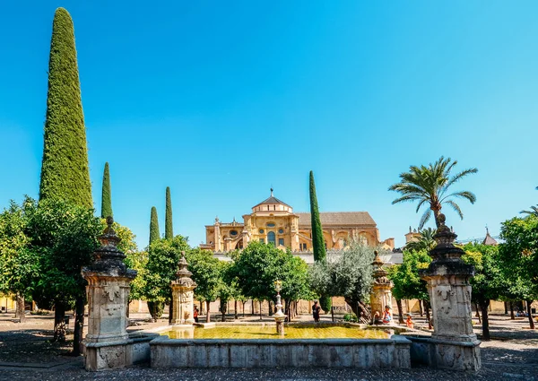 Fuera de la Mezquita de Córdoba desde el Patio de los Naranjos - Patrimonio de la Humanidad por la UNESCO — Foto de Stock