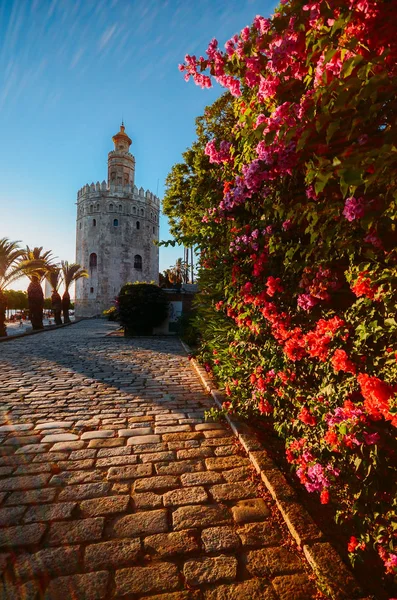 La Torre del Oro de Sevilla es una torre albarrana situada en la margen izquierda del río Guadalquivir. Alberga el Museo Naval de Sevilla — Foto de Stock