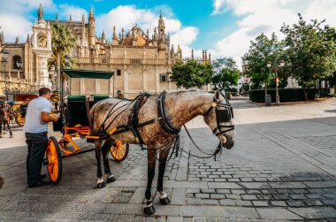 Atlı arabaları Kiralık Plaza del Triunfo, Sevilla, Endülüs, İspanya Sevilla Katedrali ile arka plan