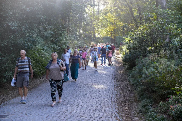 Grupo de excursionistas caminando en la montaña de Sintra hacia el Palacio de Pena - Patrimonio de la Humanidad por la UNESCO — Foto de Stock