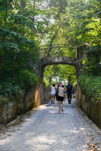 Grupo de excursionistas caminando en la montaña de Sintra hacia el Palacio de Pena - Patrimonio de la Humanidad por la UNESCO — Foto de Stock