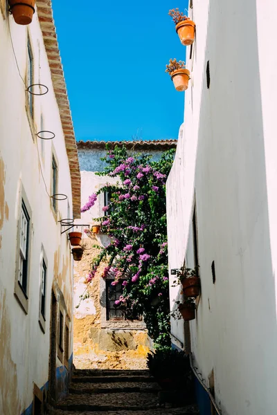 Úzká ulice v historickém centru Obidos, Portugalsko — Stock fotografie