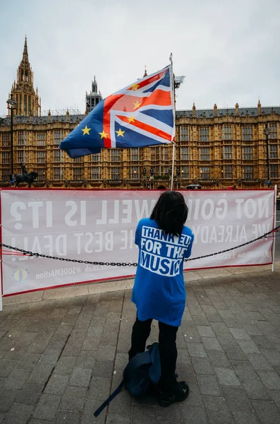 Manifestanti anti-Brexit fuori Westminster a Londra, Regno Unito — Foto Stock