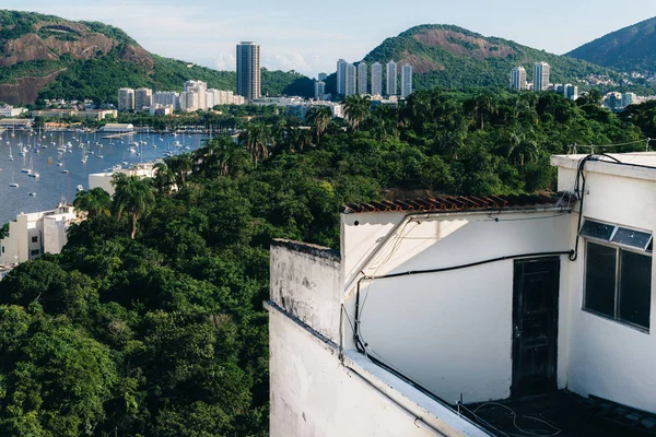 Concetto astratto di porta verso la foresta pluviale tropicale — Foto Stock