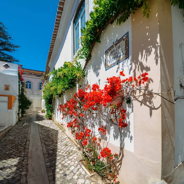 Smalle, gezellige en mooie straten van Cascais, district van Lissabon, Portugal tijdens Sunny Day — Stockfoto