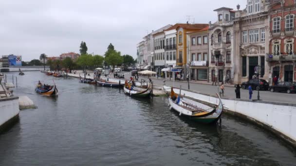 伝統的なポルトガルのボート、モリチェイロ、アヴェイロ、ポルトガルで観光客を輸送 — ストック動画