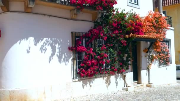 Kleurrijke Bugambilia wijnstokken die een gevel van een huis in Cascais, Portugal — Stockvideo