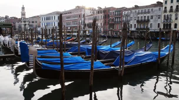 Gôndolas e gôndolas ao nascer do sol estacionados em um canal em Veneza, Itália — Vídeo de Stock