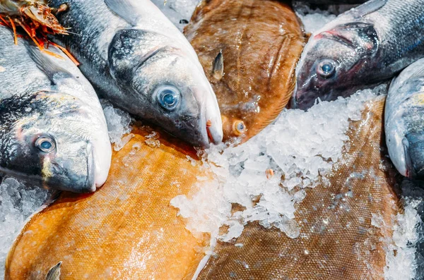 Ângulo alto Natureza morta da variedade de peixes frescos crus que refrigeram na cama do gelo frio na barraca do mercado dos frutos do mar — Fotografia de Stock