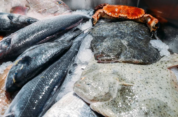 Hög vinkel stilleben av olika rå färsk fisk inklusive Ray fisk kylning på Bed of Cold Ice i skaldjur Market stall — Stockfoto