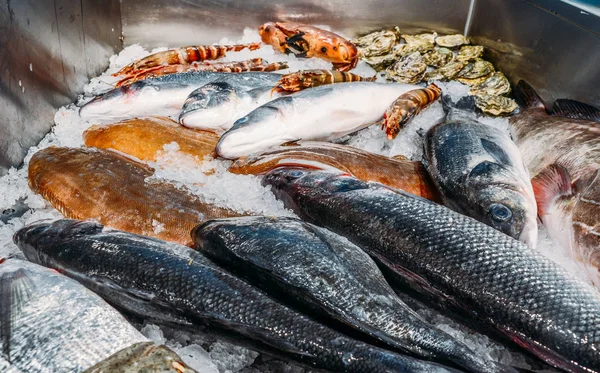 Ângulo alto Natureza morta da variedade de peixes frescos crus que refrigeram na cama do gelo frio na barraca do mercado dos frutos do mar — Fotografia de Stock