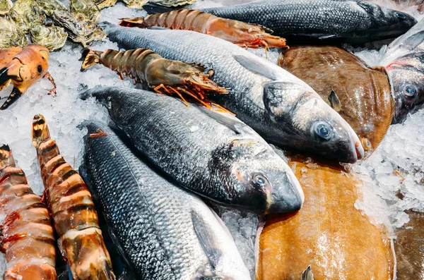 Hög vinkel stilleben av olika rå färsk fisk kylning på Bed of Cold Ice i skaldjur Market stall — Stockfoto