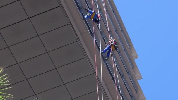 Yüksek katlı binada asma sıkı halatlar asılı pencere contalar temizlemek için silecekleri kullanarak — Stok video