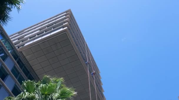 Мийки вікон, що звисають з підвісних щільних пазів у багатоповерховій будівлі, використовуючи припливи для очищення — стокове відео