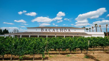 Setubal bölgesinde Azeitao 'da bacalhoa Vineyard, Portekiz Moscatel şarap ile ünlüdür