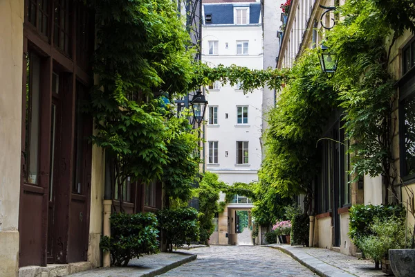 Pariisin kadulla vihreä viiniköynnösten seinillä asuinrakennusten Illes alueella Pariisissa, Ranskassa — kuvapankkivalokuva