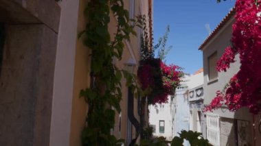 Cascais, Portekiz dar bir sokakta mor begonviller çiçek Panning