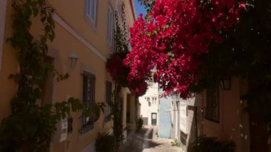Cascais, Portekiz dar bir sokakta mor begonviller çiçek yavaş kaydırma