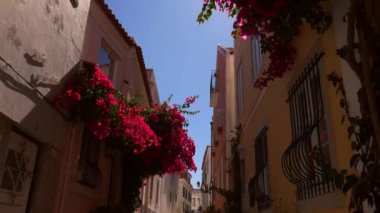 Cascais, Portekiz dar bir sokakta mor begonviller çiçek yavaş kaydırma