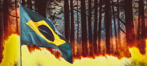 Incêndio florestal de pinhal com bandeira brasileira em primeiro plano — Fotografia de Stock