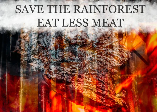Raging pinewood forest fire with meat patty on bbq grill - Save the rainforest concept — Stock Photo, Image