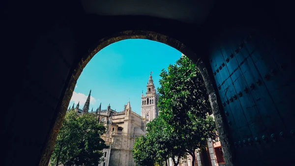 Sevillská katedrála Giralda věž od dveří oblouku Alcazar v Seville Andalusie Španělsko — Stock fotografie