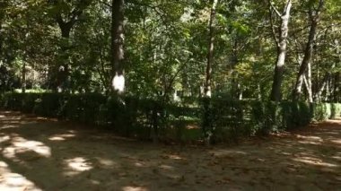 Parkta iki yol arasında seçim yapma kavramı. Önce sola, sonra sağa, bir vibratör kullanarak.