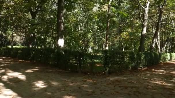 Concept POV de choisir entre deux chemins dans un parc. Regardant à gauche puis à droite à l'aide d'un cardan 
