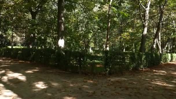 Conceptul POV de a alege între două căi într-un parc. Privind spre stânga, apoi spre dreapta folosind un gimbal — Videoclip de stoc