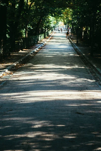 Strada attraverso la foresta autunnale. foglie colorate e alberi nella stagione autunnale d'Europa. autunno fotografia d'arte. morbido tono estivo indiano chiaro. colore vivace. viaggio viaggio icona tema concetto — Foto Stock