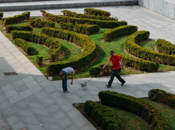 Homme, femme et chien s'amusent dans un parc à Madrid, Espagne — Photo