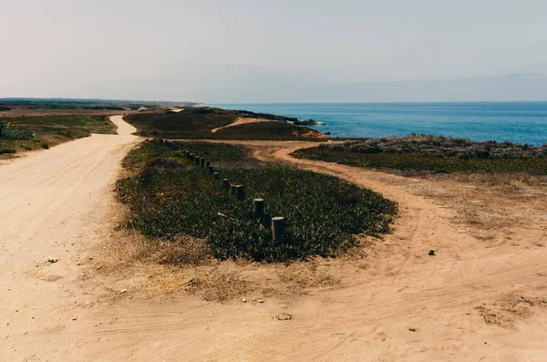 Zandwandelpad. Natuur landschap met kleine struiken en bloemen. Oceaan in de verte. Rota Vicentina, Alentejo, Portugal. — Stockfoto