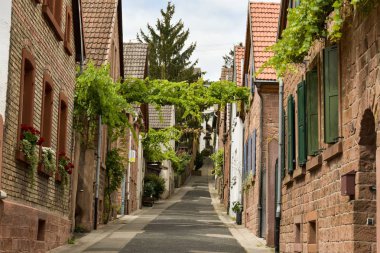 Sankt Martin, Rheinland Pfalz, Almanya - 10 Temmuz 2018: Street eski evler ve yolun karşısında asma.